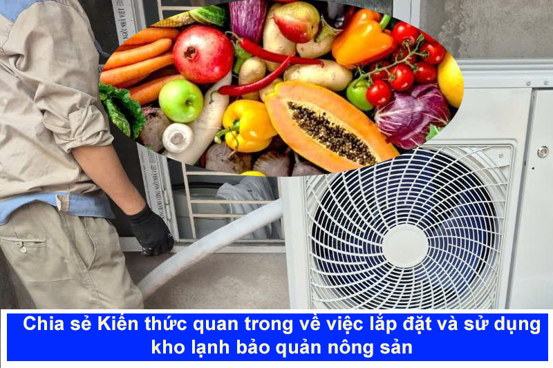 Kiến thức và hiểu biết đúng đắn về việc lắp đặt kho lạnh 