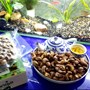 Hạt điều dinh dưỡng