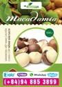Macca - Quà tết đậm đà hương vị Tây nguyên